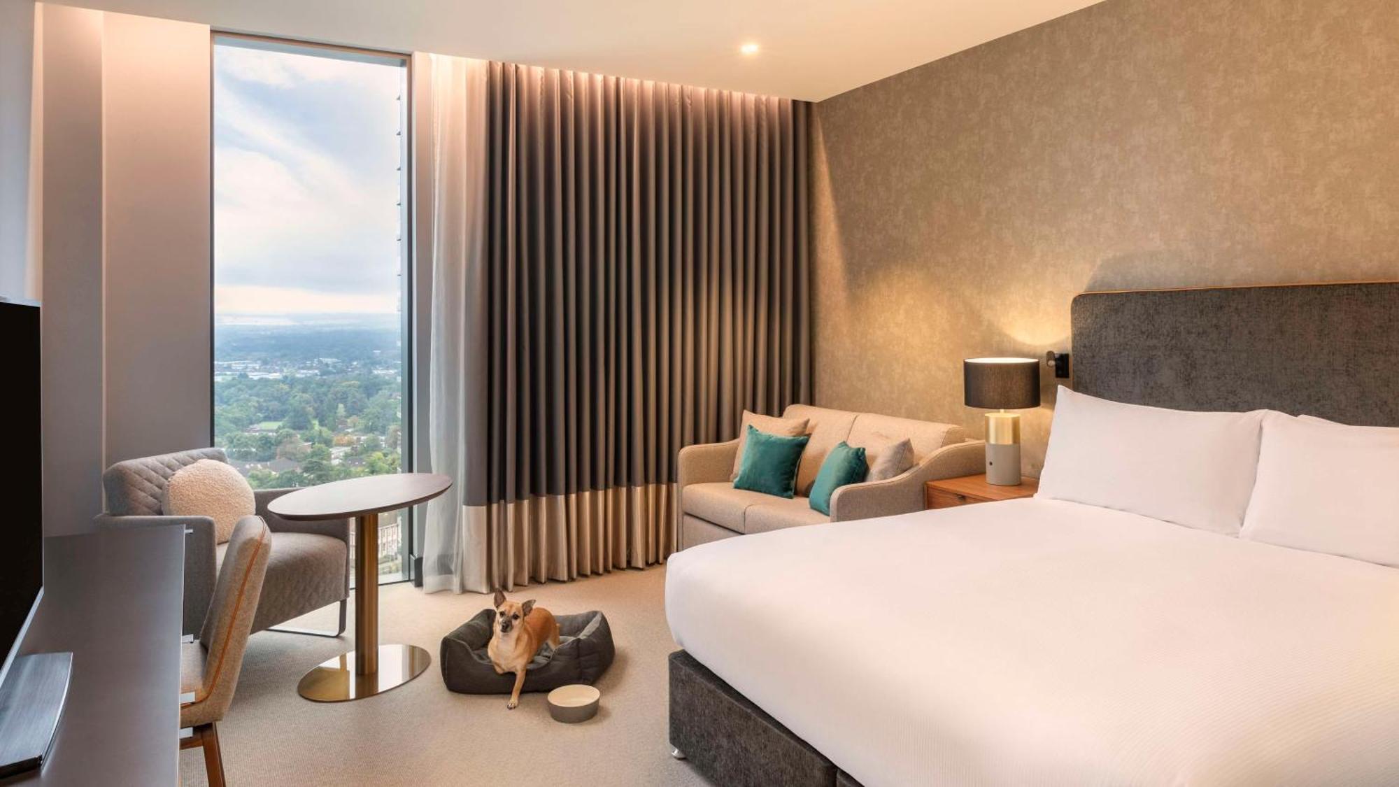 Hilton Woking Hotel Екстериор снимка